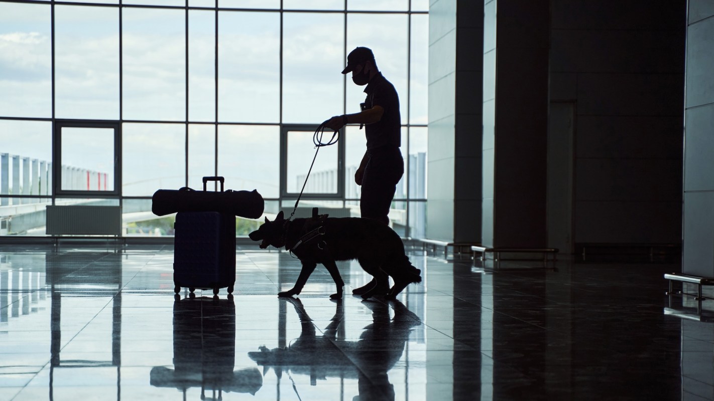 The seizures took place across August and September.