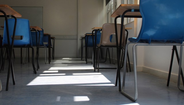 After a cougar was spotted near two local schools in Gig Harbor, Washington, students and staff were kept indoors as a precaution.