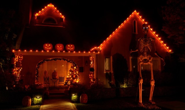 Plastic Halloween decorations, like sticky cobwebs, might give trick-or-treaters a fright — but they're even scarier for nesting birds.