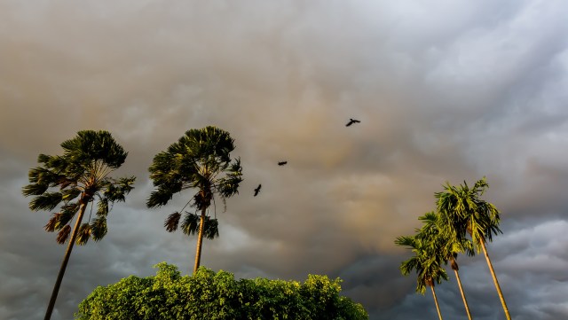 "We face a challenge."