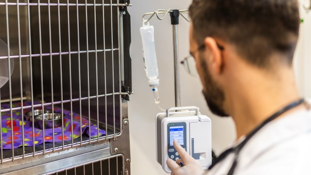 "If they can see them in this light, they’re gonna look at them a little bit different."