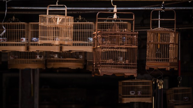 Two men, aged 30 and 35, were arrested and charged.