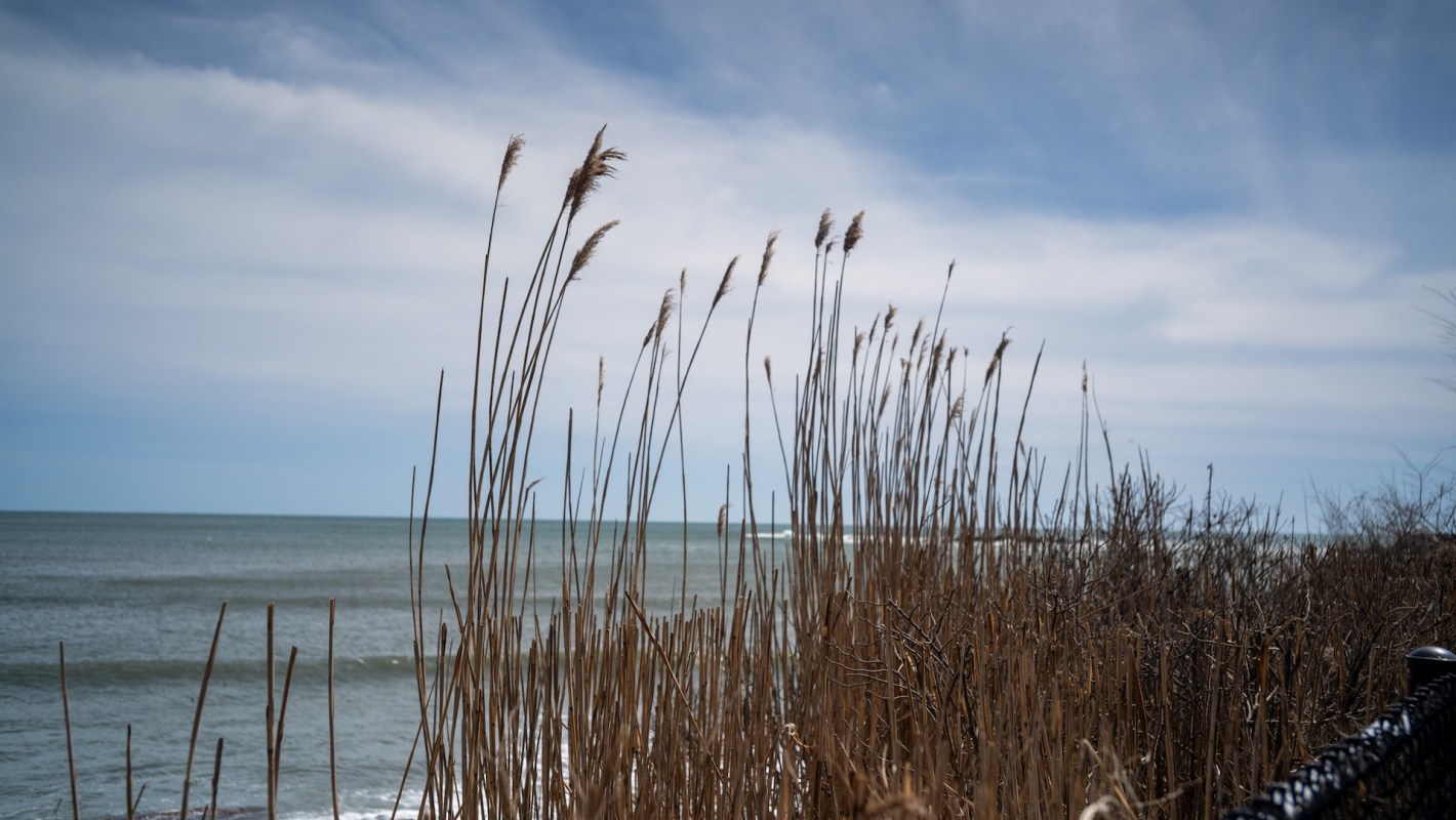 As sea levels rise, Earth’s inhabitants face the threats of land degradation, damage to city infrastructure, and drowning.
