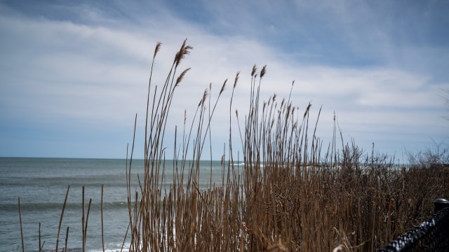 As sea levels rise, Earth’s inhabitants face the threats of land degradation, damage to city infrastructure, and drowning.