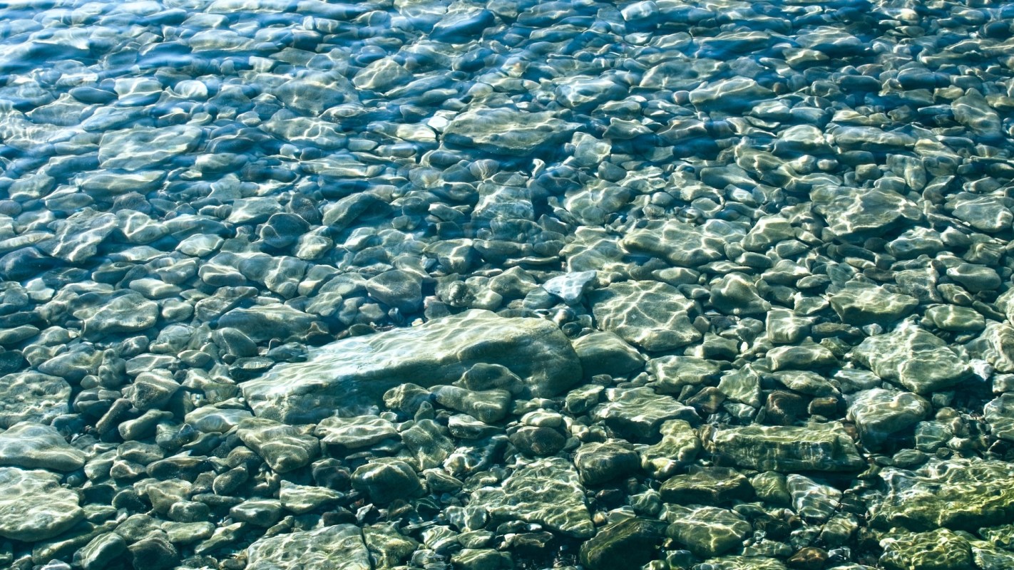 The Kosterhavet National Park on the west coast of Sweden saw significant positive changes to marine life after implementing trawling restrictions.