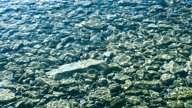 The Kosterhavet National Park on the west coast of Sweden saw significant positive changes to marine life after implementing trawling restrictions.