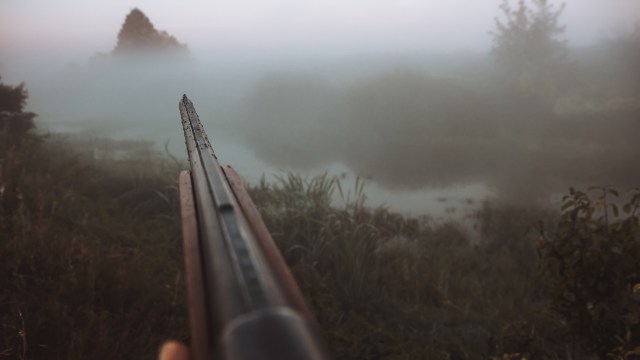 Nearly 90 baby spider monkeys have been confiscated at the Texas-Mexico border in the last 18 months.