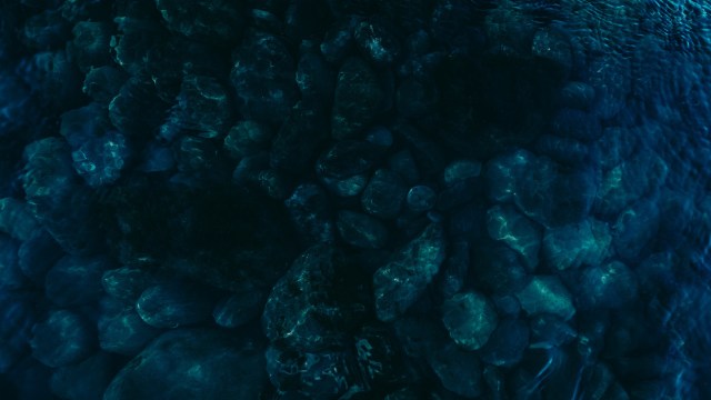 New studies show fishing debris and abandoned aquaculture sites across the globe are having devastating effects on marine life.