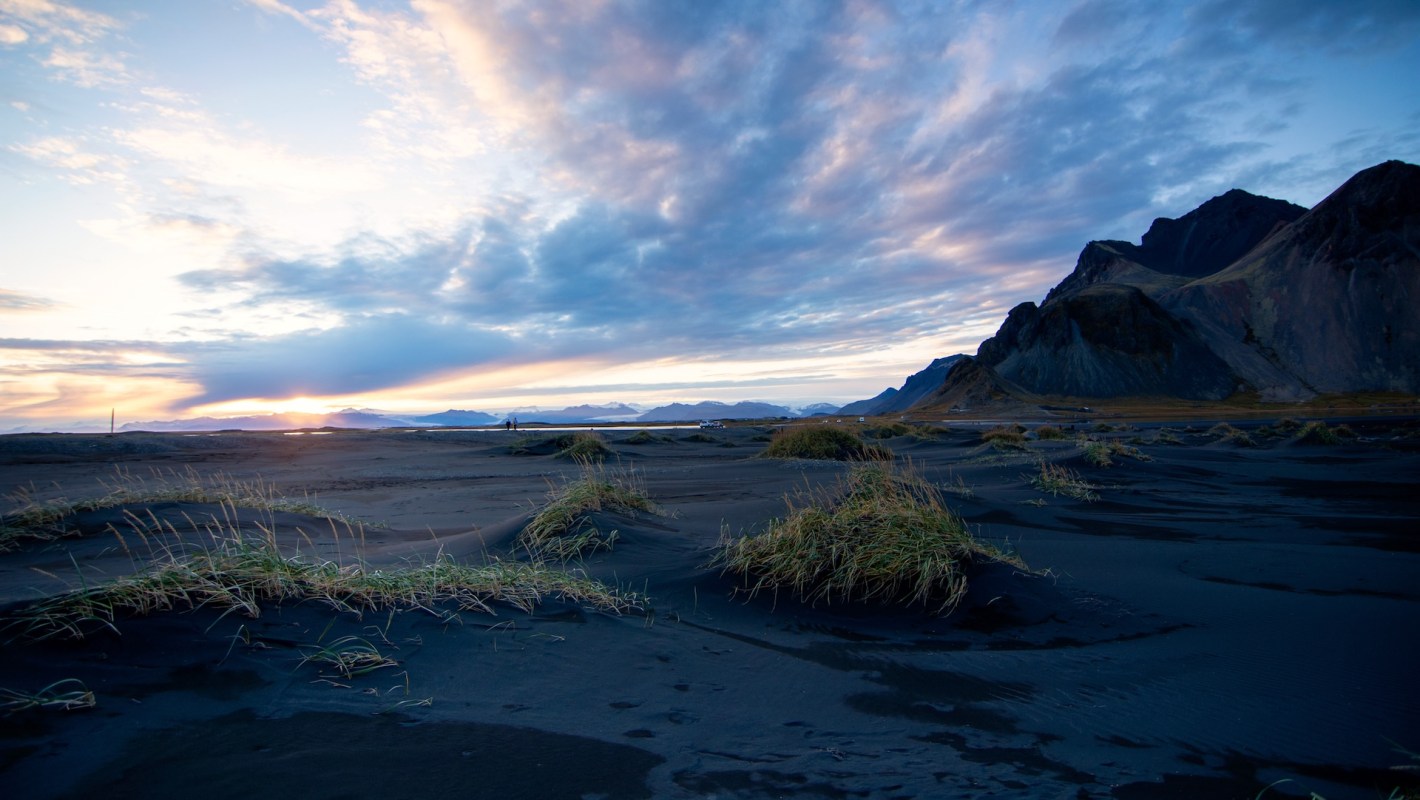 For the first time ever, mosquitoes have been discovered in Iceland.