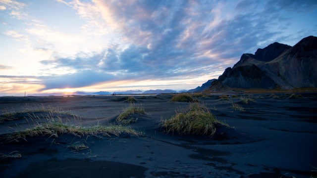 For the first time ever, mosquitoes have been discovered in Iceland.