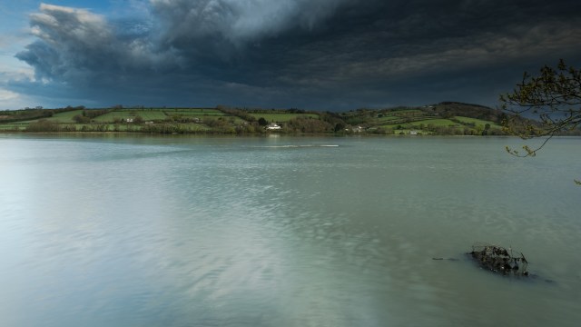 Findings extend beyond these tiny critters, though.