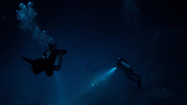 Researchers have found a concerning amount of microplastics in the deep ocean.