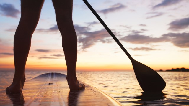 "I think we’re starting to love our wildlife a little bit too much."