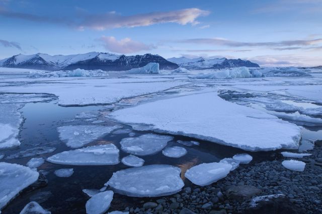 As Arctic ice melts, researchers have discovered a surprising development that could benefit marine life.