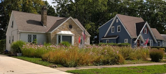 One gardener stopped to take a picture of a front lawn filled with native plants — the bane of many a homeowners' association.
