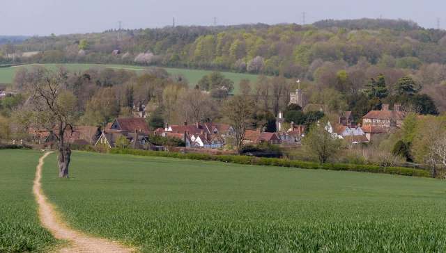 "We would like to thank all the villagers who have contributed for their valuable help."