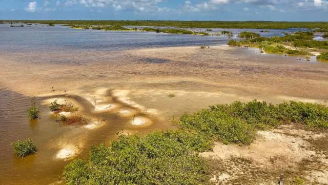 Over 9,000 acres of land spread across 17 Mennonites' properties were closed after federal officials detected illegal logging had taken place.