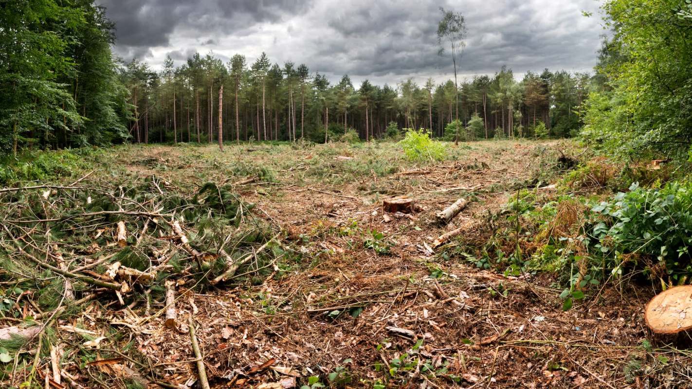 Critics are calling his punishment a "slap on the wrist."