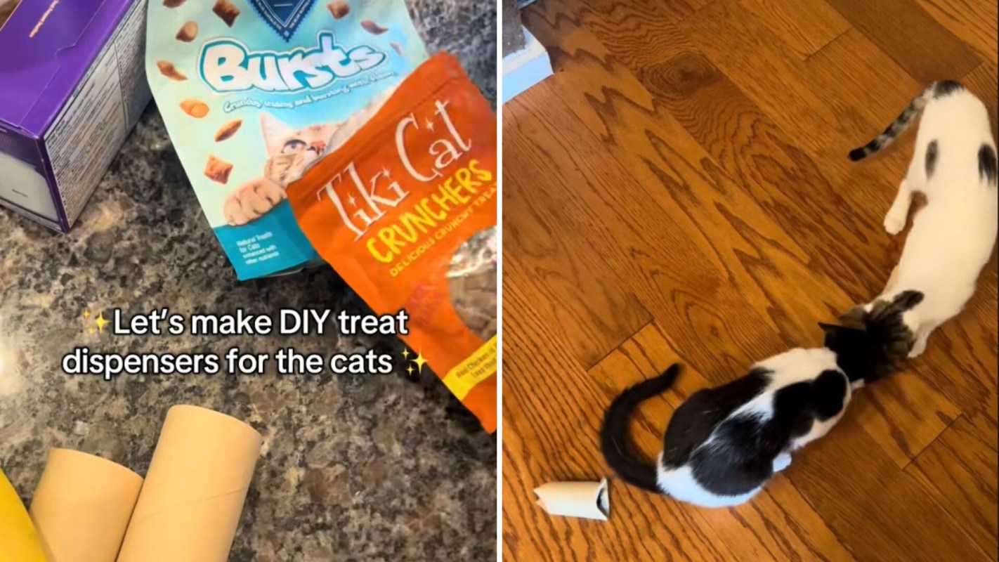 "What a great idea!"