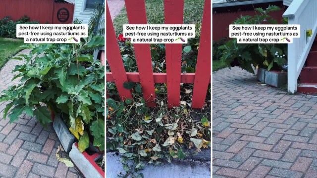 "Great information."