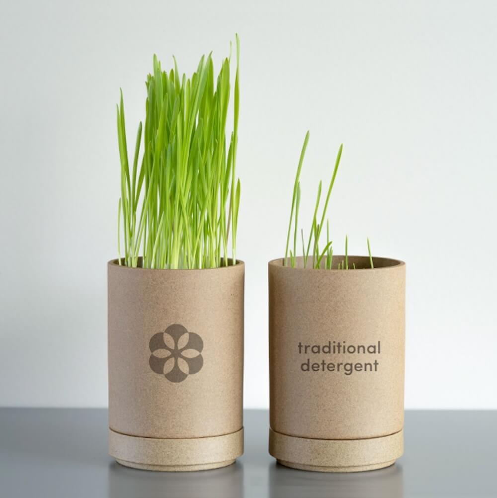 Dr. Pete, chief scientist at Dirty Labs, explained how his company managed to create effective, sustainable cleaning products.