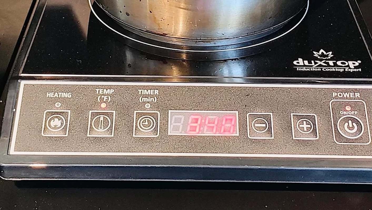 One Redditor shared how their experience cooking on an induction stove helped them successfully get rid of their gas appliance.