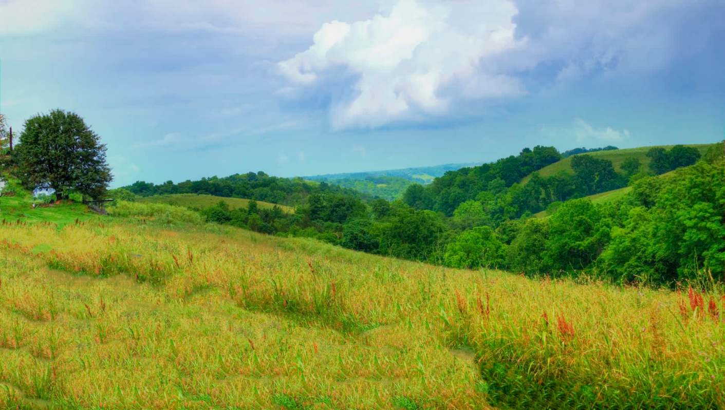 "Just a lot of fun."