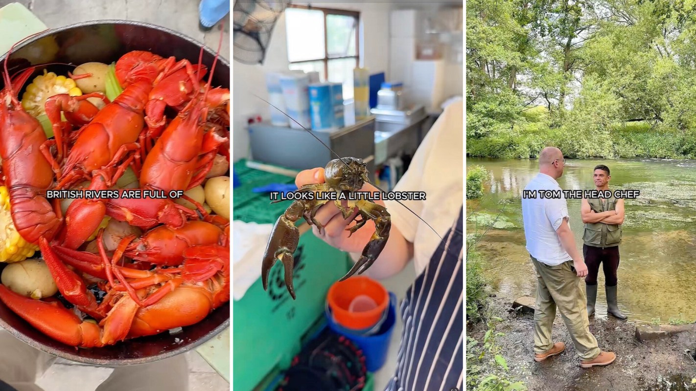 One London gastropub revealed how the invasive crawfish can make the perfect addition to a seafood meal.