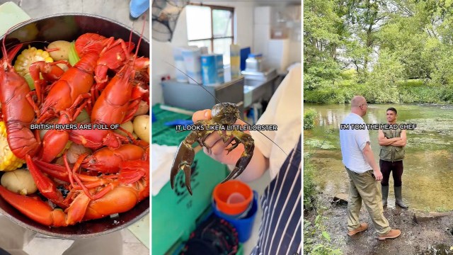 One London gastropub revealed how the invasive crawfish can make the perfect addition to a seafood meal.