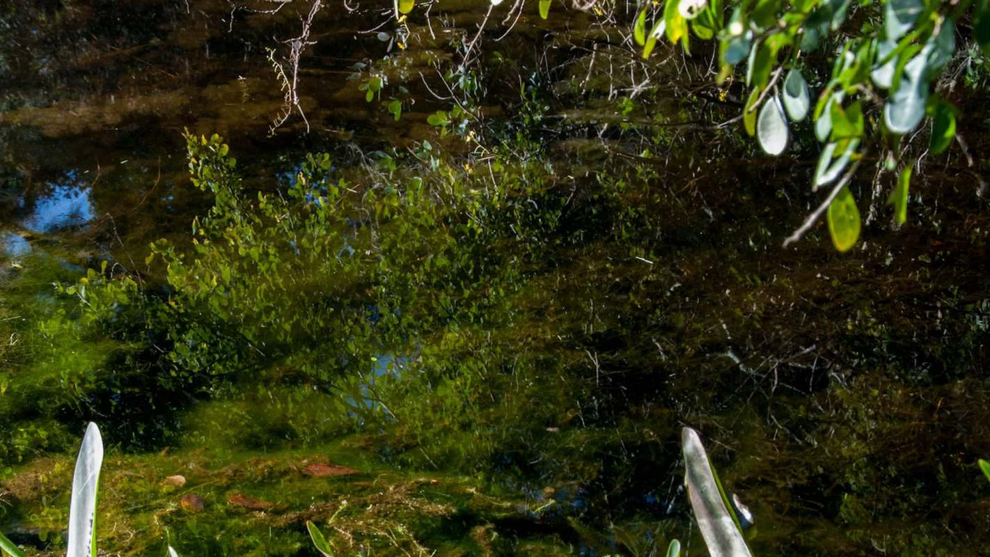 "Both our studies emphasize the importance of working in partnership with local communities."