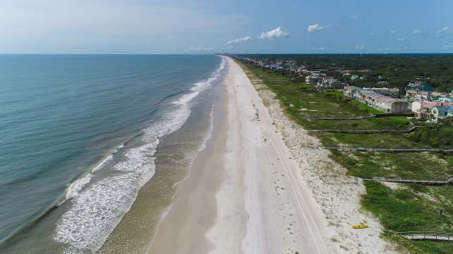 An expert has raised concerns about public health in Florida after increased sightings of an invasive lizard species.