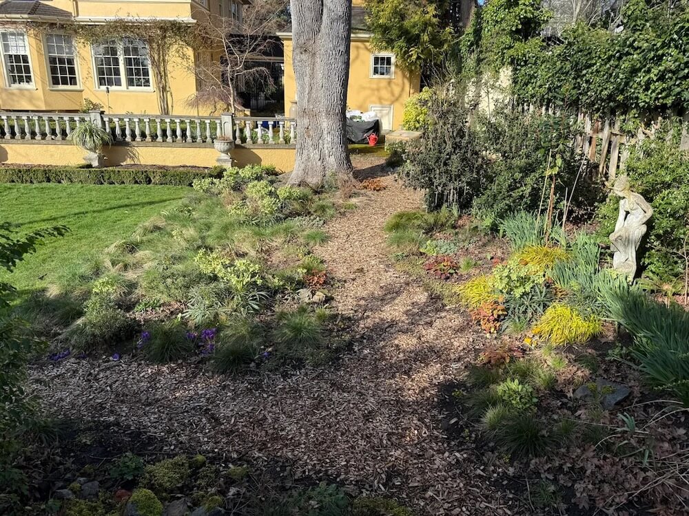 One homeowner transformed their mundane backyard into a native plant garden.