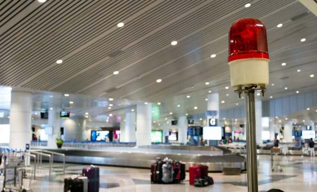 Authorities in India busted an ivory smuggling ring and arrested several suspects.