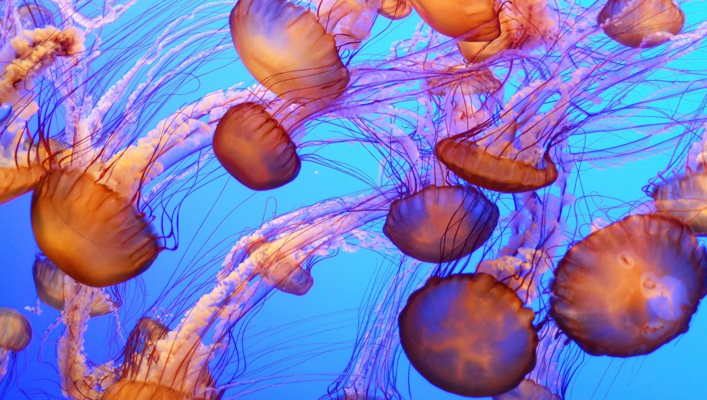 Any complication is a concern.