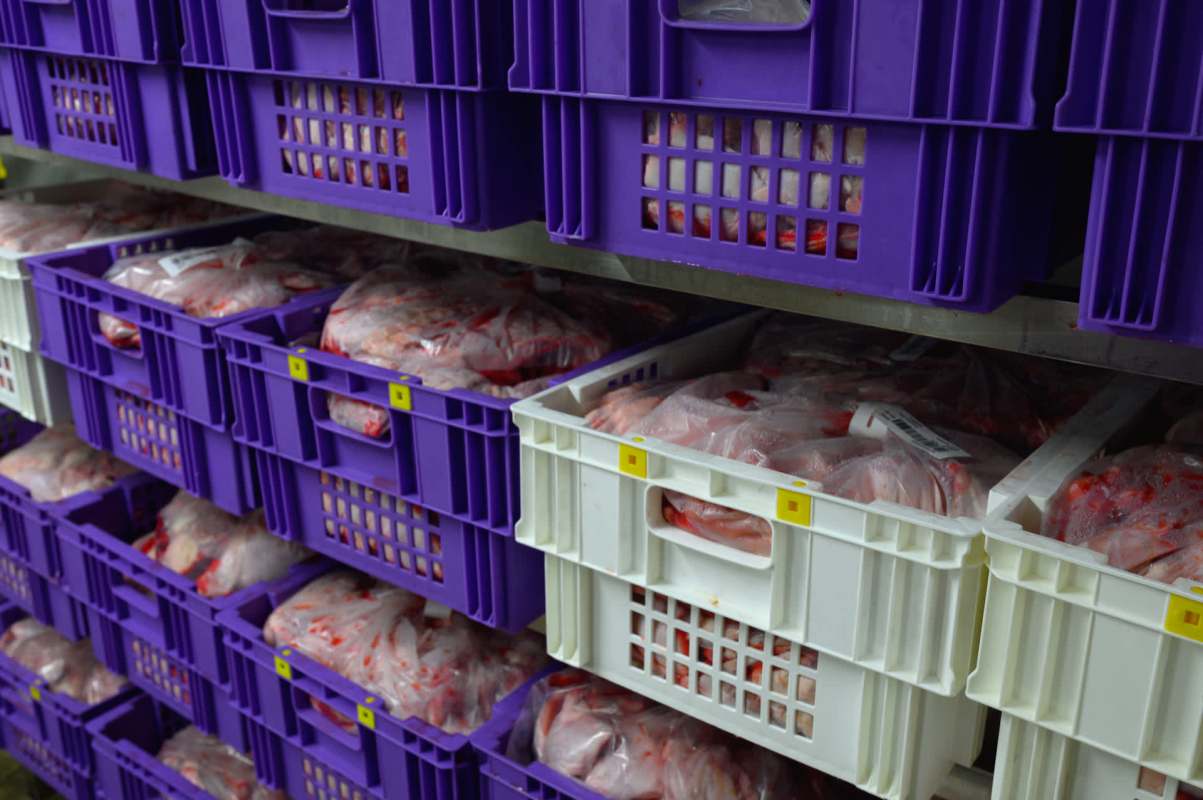 "Contributes disproportionately to animal suffering."