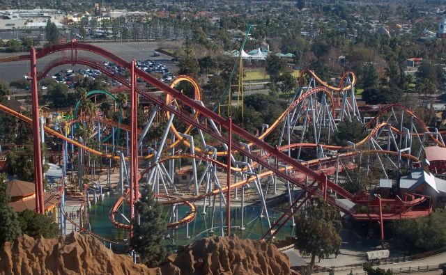 "It was probably terrified and just wanted to get away from people and the noise."