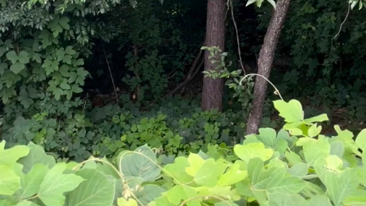 "Admire their handiwork."