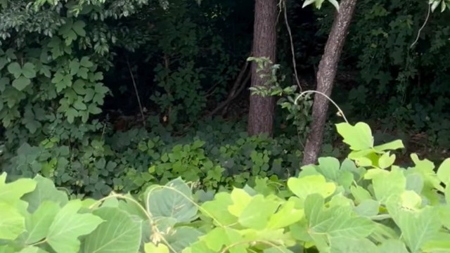 "Admire their handiwork."