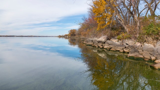 This return is a major win for conservation efforts.