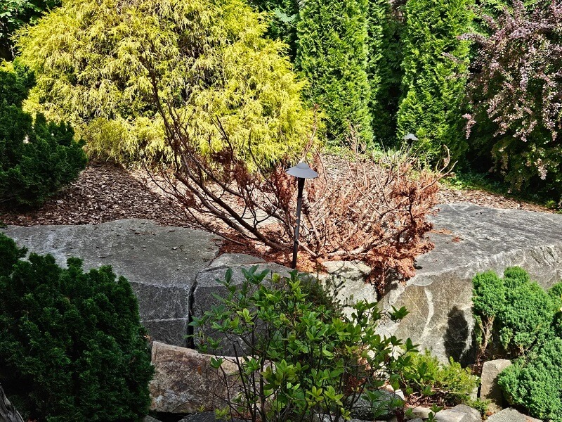 "This stuff doesn't belong in plant beds."