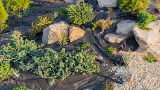 After finding mysterious plastic bags over their lawn, one homeowner sought out the Reddit community for advice.