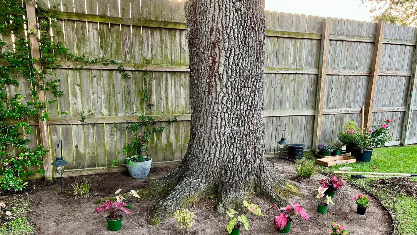 "I hate that stuff."