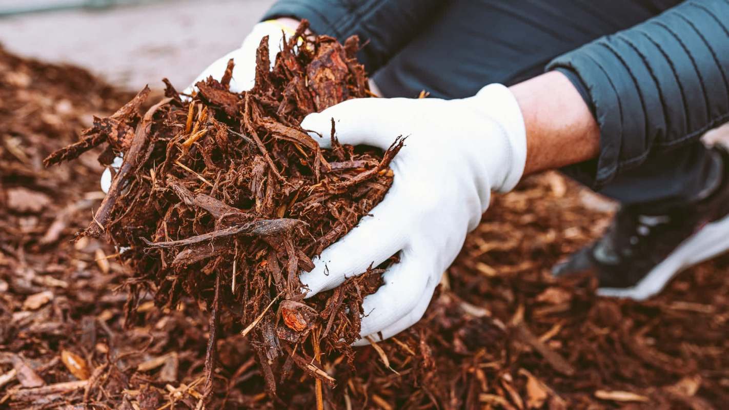 The post sparked an interesting conversation.