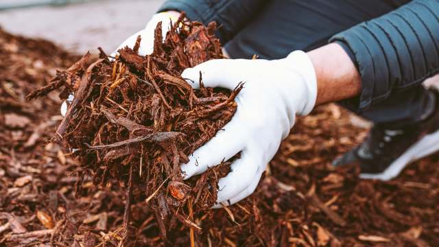 The post sparked an interesting conversation.