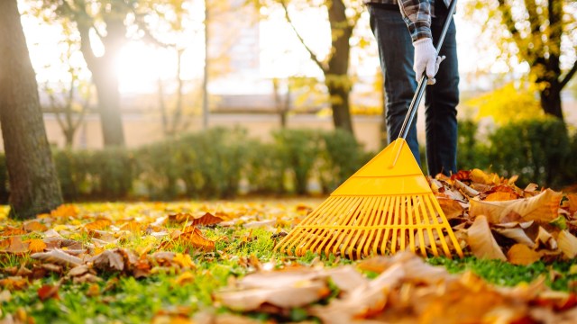 "As smooth as possible."