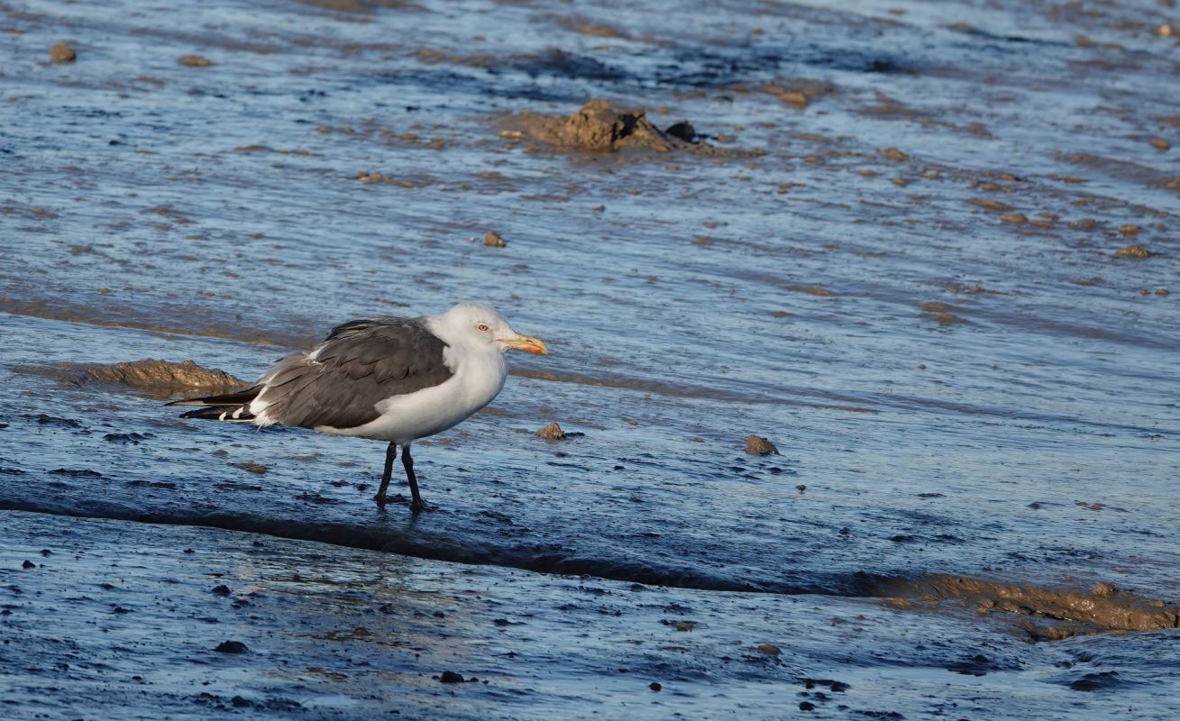 "Each day we work to preserve the rich natural history."
