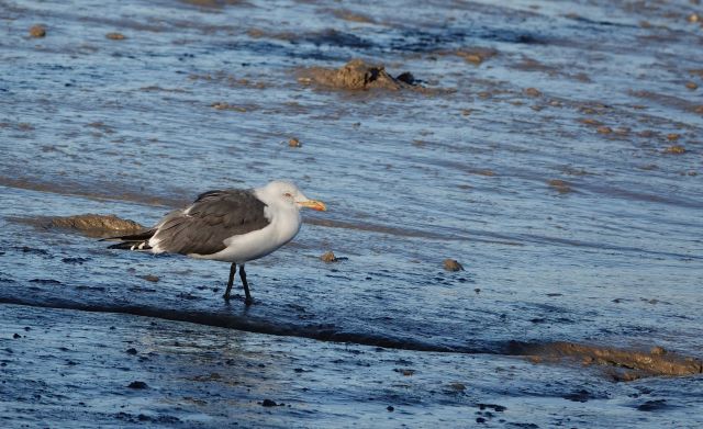 "Each day we work to preserve the rich natural history."