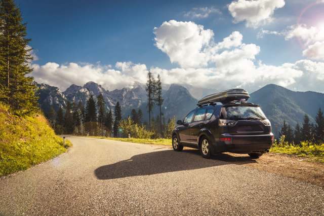 A Cape Town resident was shocked to discover a lesser bush baby stowaway in his car after returning from a festival.