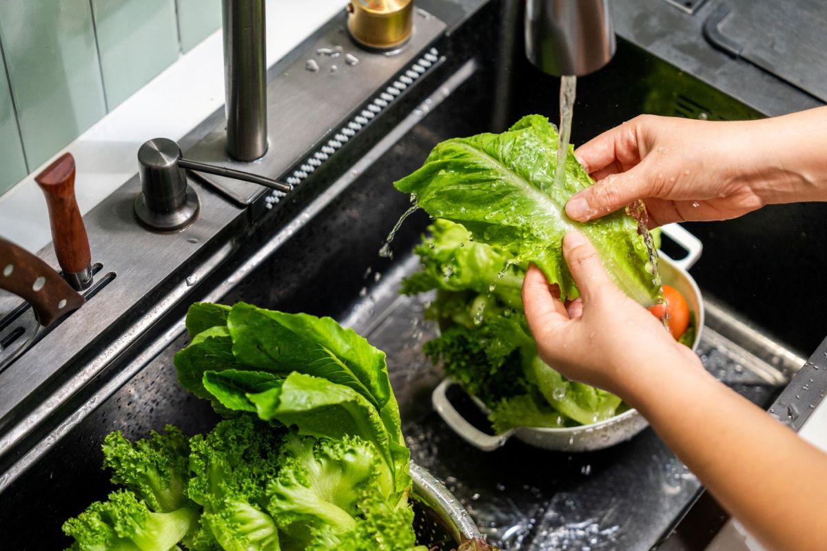 Plantaform is a soil-free fogponics indoor gardening system that grows vegetables, and its app has a party mode.
