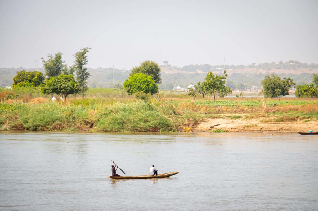 Learn how lions are benefiting from conservation efforts in Cameroon, thanks to a program that began in 2023.
